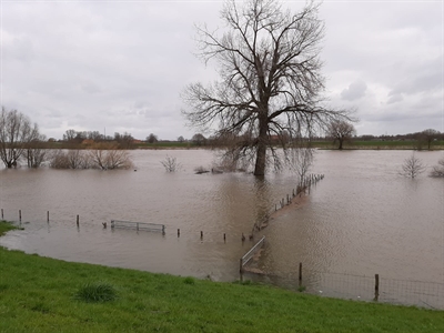 Geen Extra Maatregelen Nodig Vanwege Hoogwater In De Maas Waterschap Aa En Maas