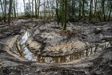 Werk in uitvoering: nieuwe bosbeek gegraven (maart 2024)