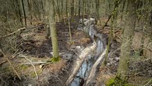 Werk in uitvoering: nieuwe bosbeek gegraven (maart 2024)