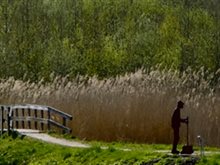 biodiversiteitsdag_de_vilt