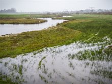 weer-regen-storm-dynamisch-beekdal-den-dungen