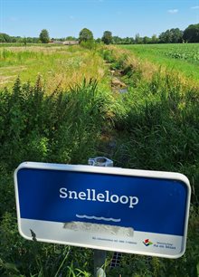 Droogte Snelleloop