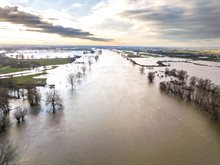 Hoogwater Maas bij Blauwe Sluis 2024